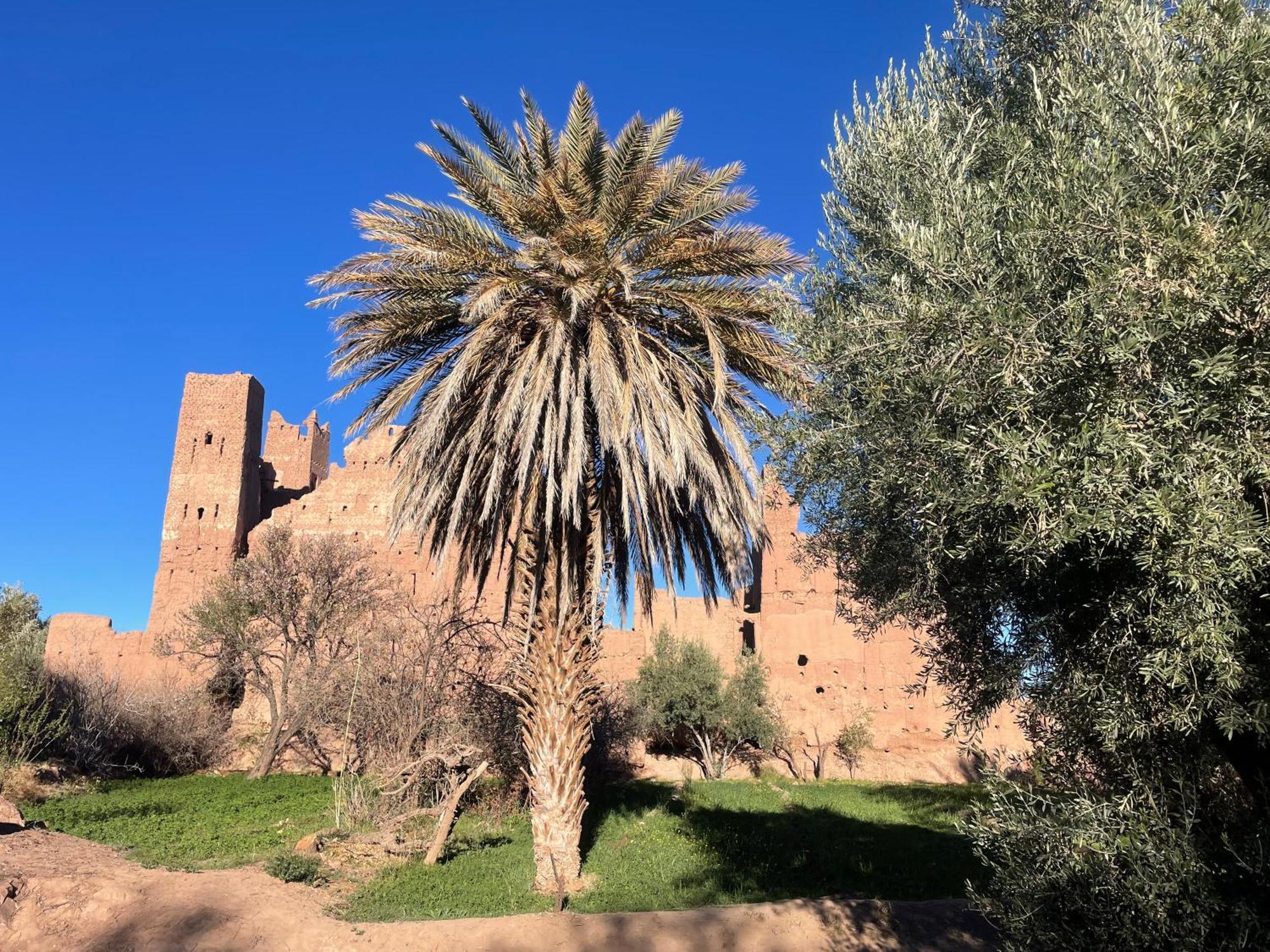 Maroc Des Merveilles - Chez L'Habitant Kelaat-M'Gouna エクステリア 写真